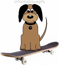 Un chien sur un skate