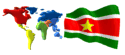 drapeau surinam
