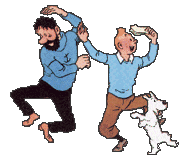 Les albums de Tintin - Si cela vous intéresse 19