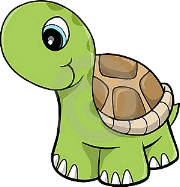 image animal turtle