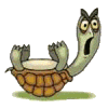 gifs tortue humour